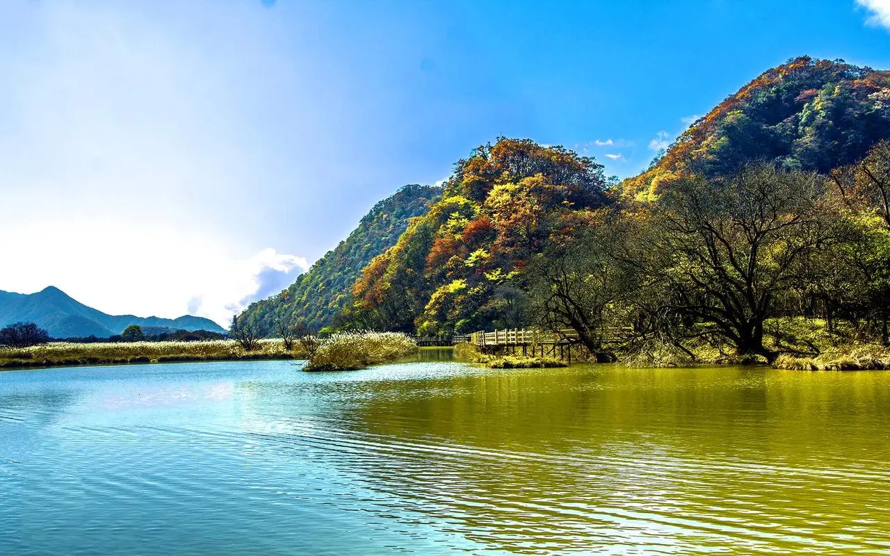 节能高端